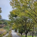 샘양지마을 이미지