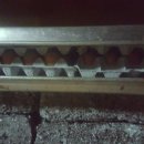 녹주맥반석찜질방 이미지