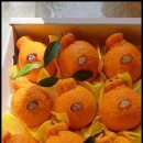 다미 농장 이미지