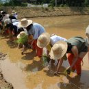 고양1호농장 이미지