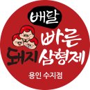 빠른돼지삼형제 - 30021 | 빠른돼지삼형제