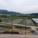 호암한우막국수 이미지