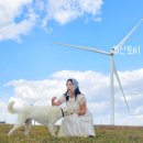 화학산등산로 이미지