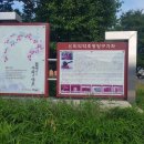 청양약초구기자시장 이미지