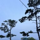 용인아이행정사 이미지