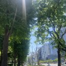 문정로4길 | 문정역 카페 쪼매난다방 수제청 에이드 추천