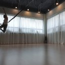 피지오테스