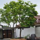 속삭이는 민박 이미지