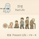 12 이미지