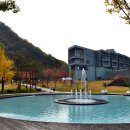 마이더스호텔 머니투데이