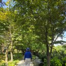 무심교옆 이미지