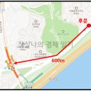 서울숲미래연어린이집 네이버블로그