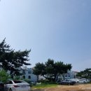 비비오네 이미지