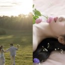 한보배 카카오 검색결과