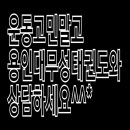 용인대 명성 태권도 이미지