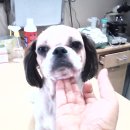 가좌종합동물병원 이미지