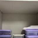 전용용기 | 내돈내산 땡스소윤 냉동실 전용 밀폐용기 후기