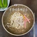 강원 영월 현지인 로컬 맛집 부뚜막초계국수 재방문 후기