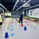 경희대석사 비룡태권도 이미지