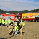 창원시 마산합포구 구산초등학교 창원일보