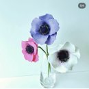 목일신공원 | [개강후기] 생화보다 더 예쁜 펠트꽃 만들기_범안(범안동)