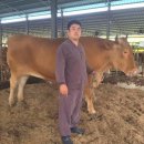 서성목장 이미지