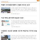 그 단체의 00이 궁금해 #00 누구나 드나들 수 있는 사랑방에는 &#39;대표&#39;도 &#39;직급&#39;도 없어요(인권운동...