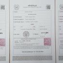 세종번역 이미지