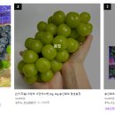 송산포도로 이미지