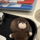 (주)피어식스 | 250720 데이식스 팬미팅 pier10 후기🍀