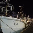 유통복어 이미지