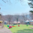 키즈베베 이미지