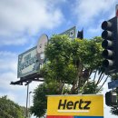골드카 | LA 렌트카 허츠렌트카 Hertz 골드멤버쉽 이용후기 및 실제 결제내역