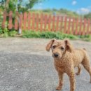 명리2길 이미지