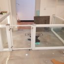 고양이미용실 이미지