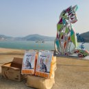 두나펫 코리아 이미지