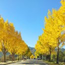 경북 천년숲정원 이미지