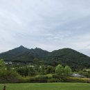 그린에버 이미지