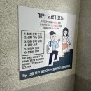 밍테라피