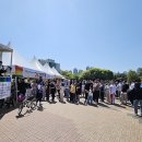 메디팜문화약국