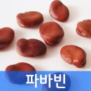 자이언트파마 이미지