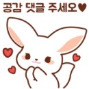 필스터디카페 이미지