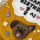 하늘바라기펫푸드 강아지수제간식 강아지케이크 이미지