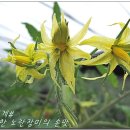 이영선농장 네이버블로그