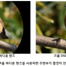 풀바디 이미지