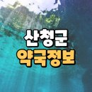 천지온누리약국 티스토리