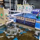 어시장활어회직거래판매장 이미지