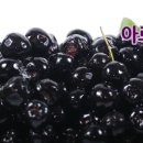 대야지업사 이미지