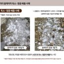 20분의기적 이미지