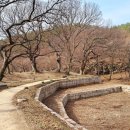 (주)토석공영 | 대구 동구 둔산동 옻골마을 홍매화 개화 상황 (3/8일 현재)